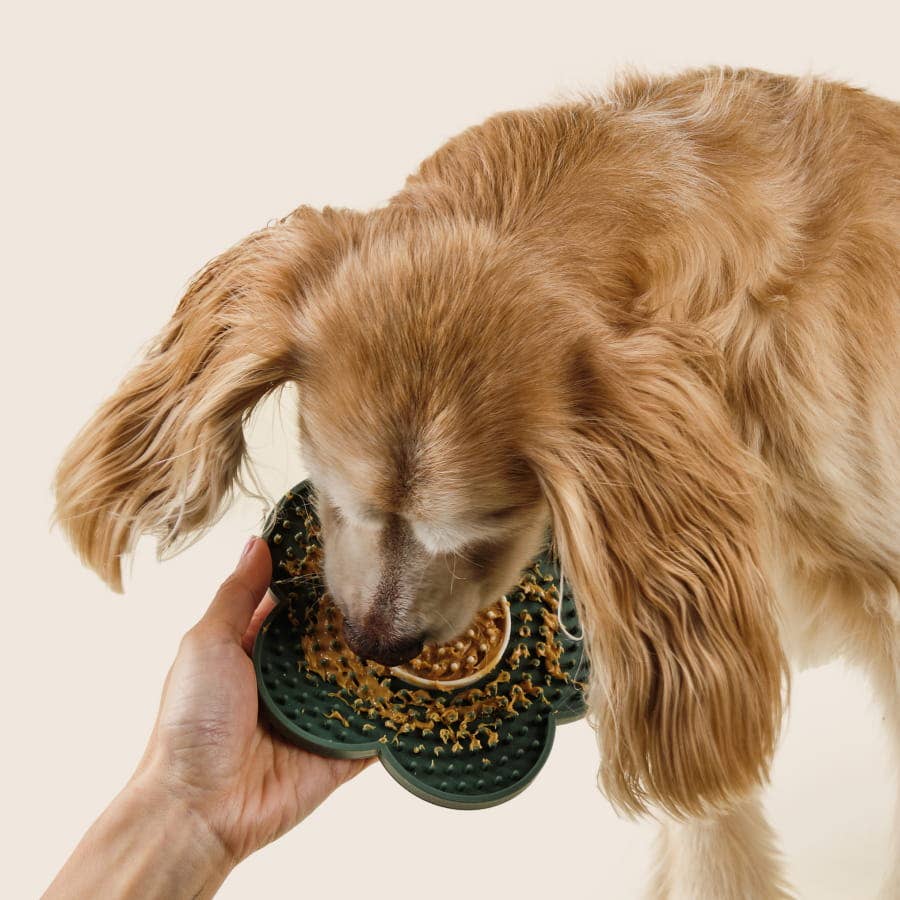 Silicone Lick Mat | Stress-Free Grooming Tool