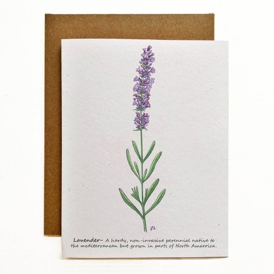 Lavender Greeting Card