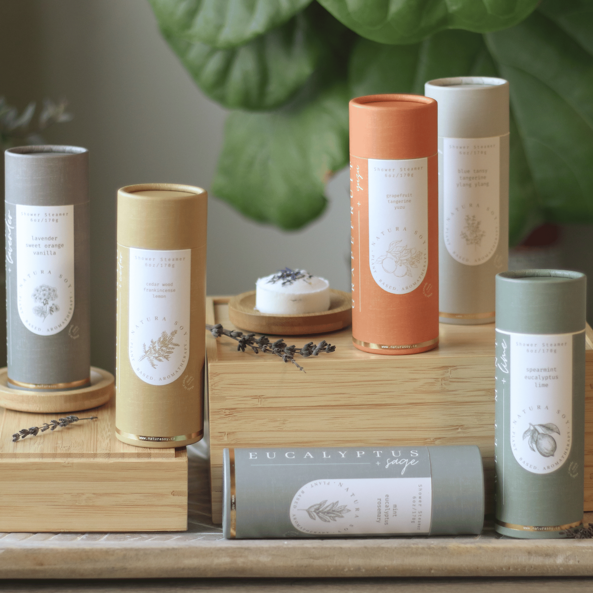 Shower Steamer Set - Eucalyptus Sage