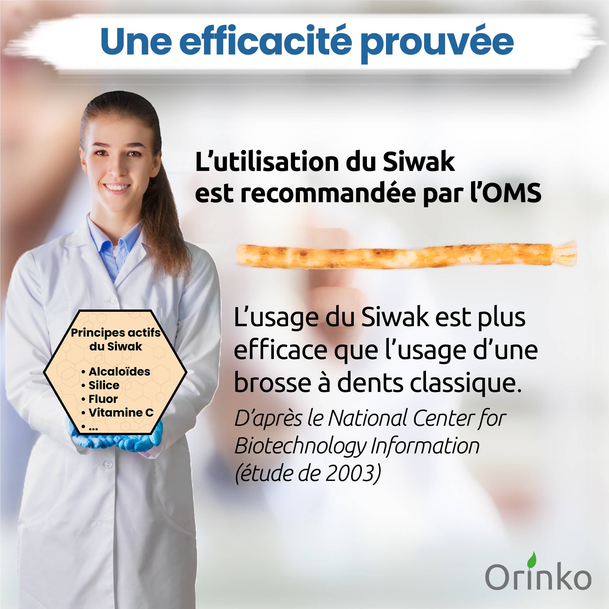 Siwak Stick with Protective Case