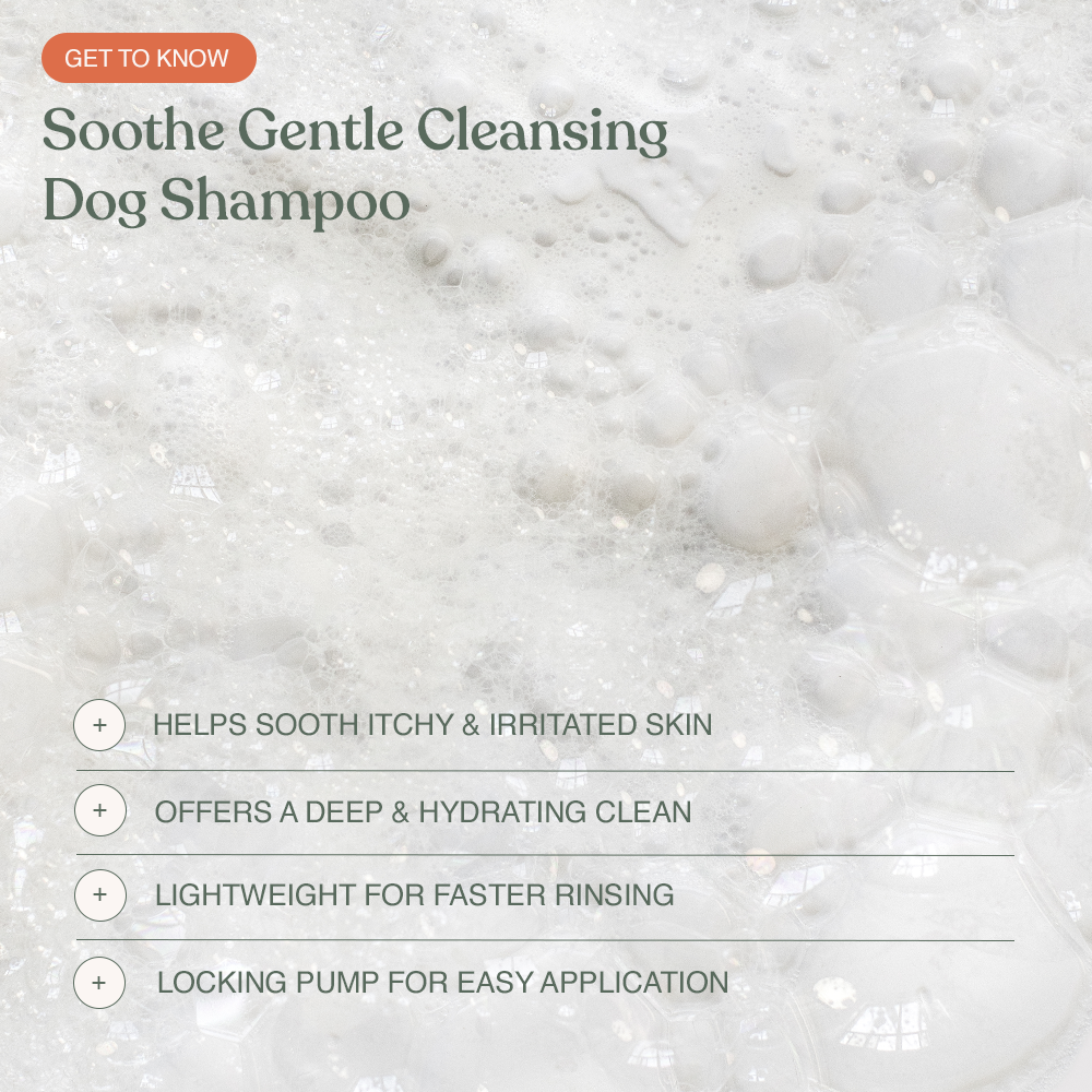 Soothe Gentle Cleansing Dog Shampoo