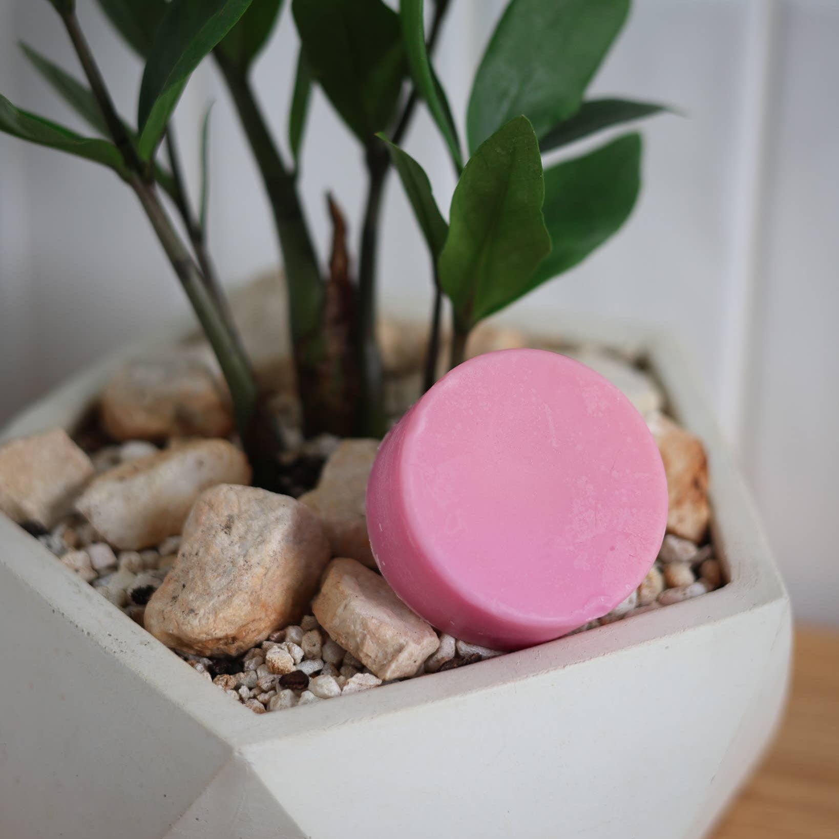 The Eco Alchemist Conditioner Bar - Rad Hair Day