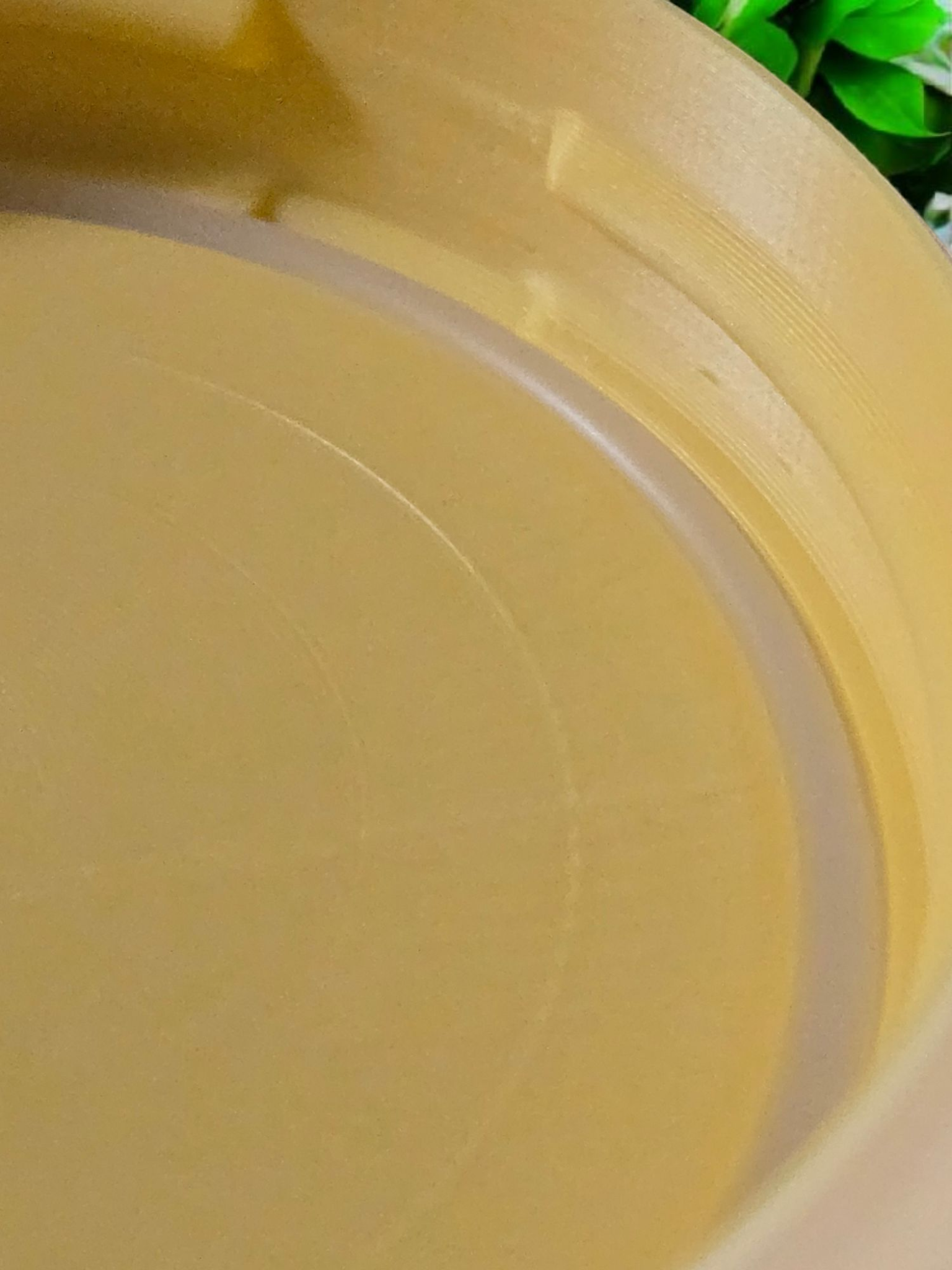 Mason Jar Lids Evergreen