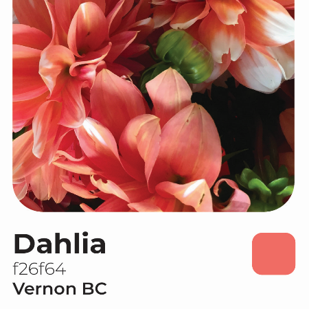 The Rogerie Refillable Floss Canister