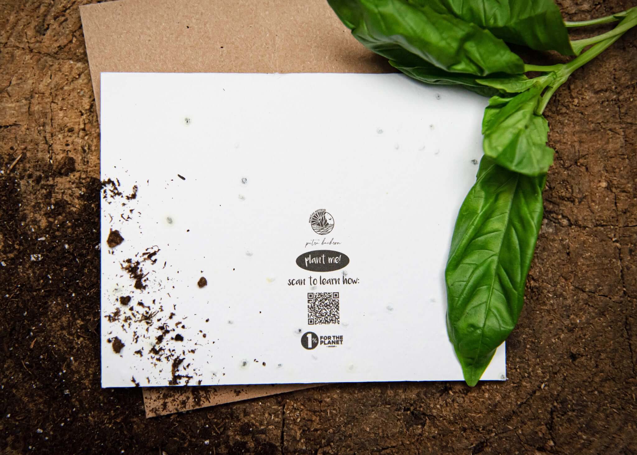 Plantable Basil Seed Card | Roam The World