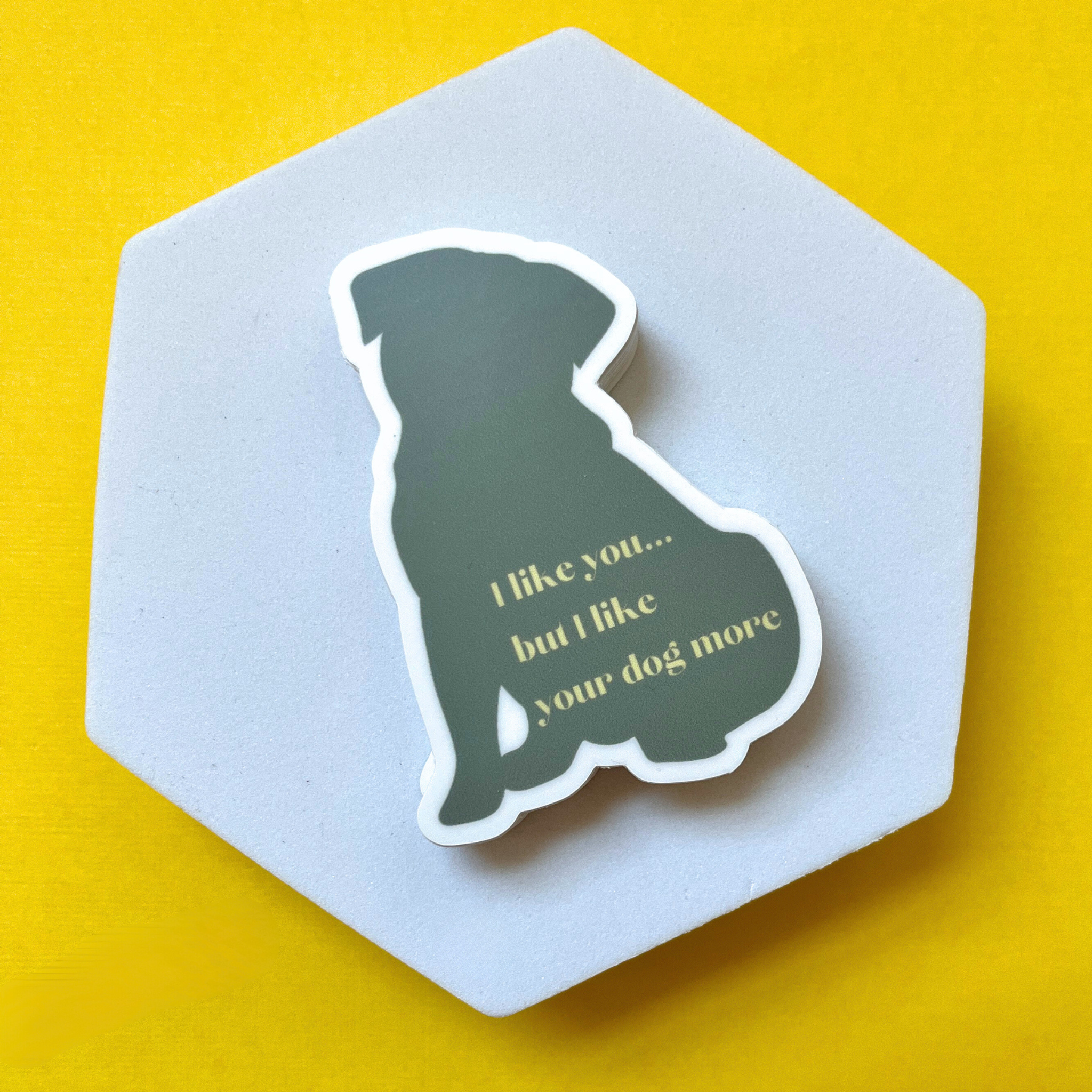 Mont's I Like You But I Like Your Dog More Sticker,