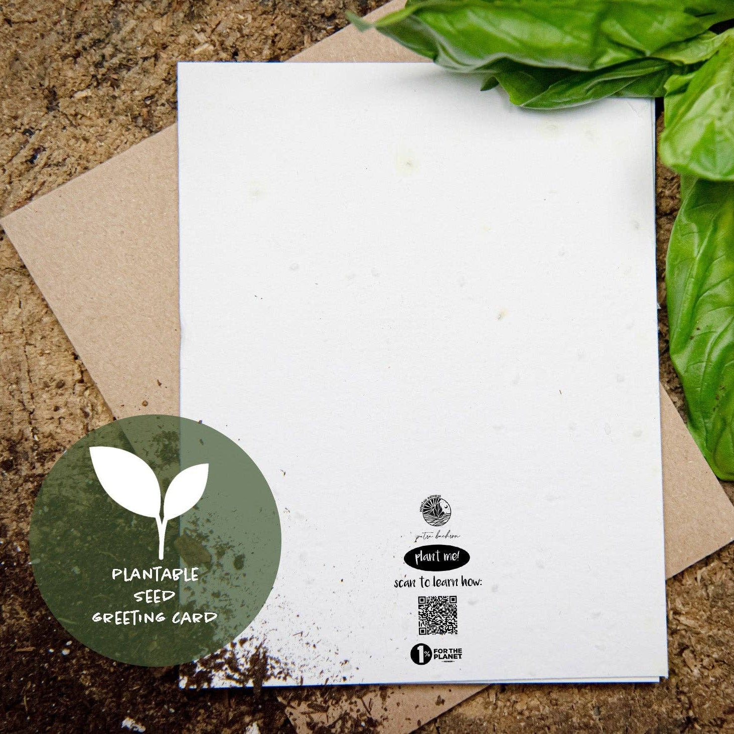 Plantable Basil Seed Card; Let Your Light Shine