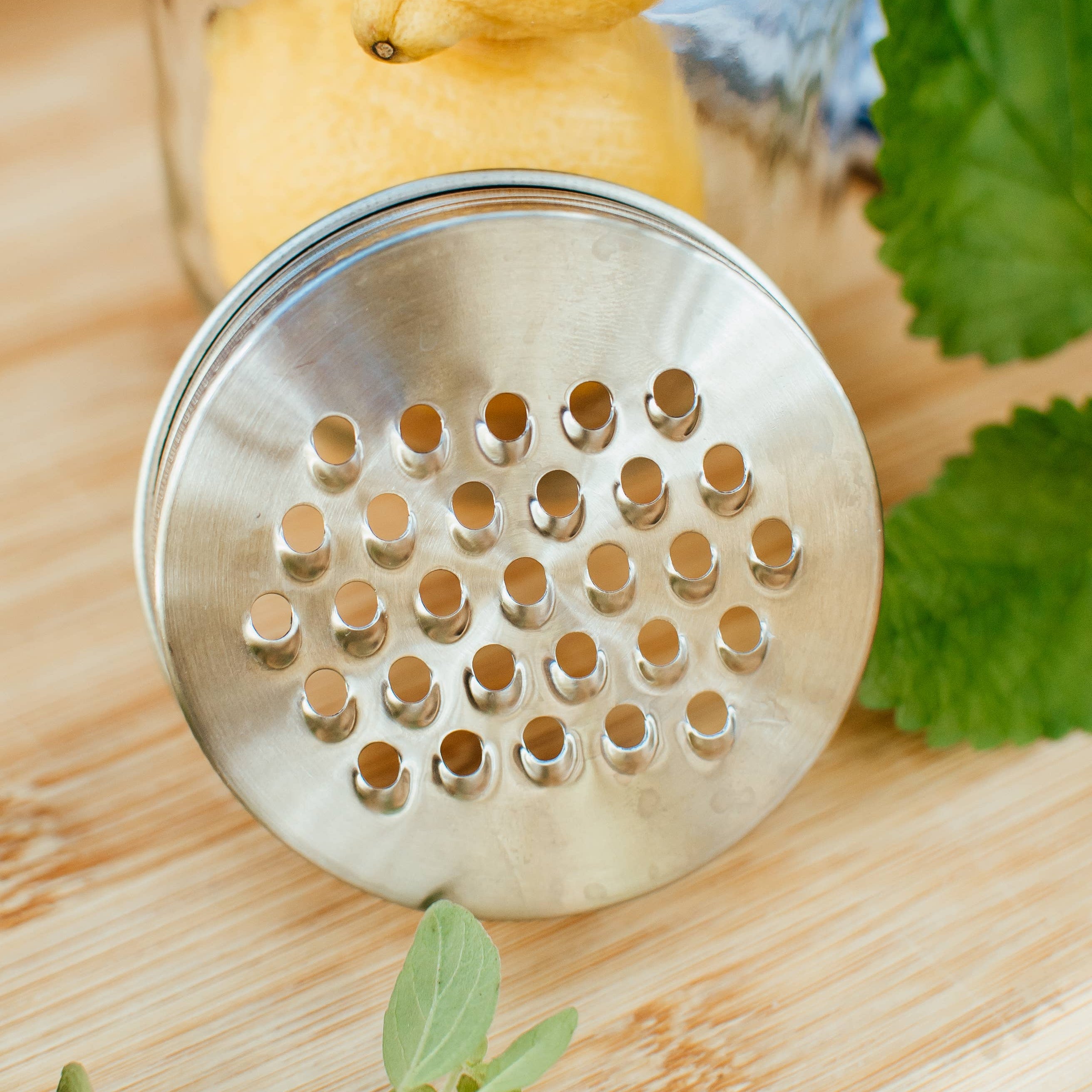 Stainless Steel Mason Jar Grater Lid REG