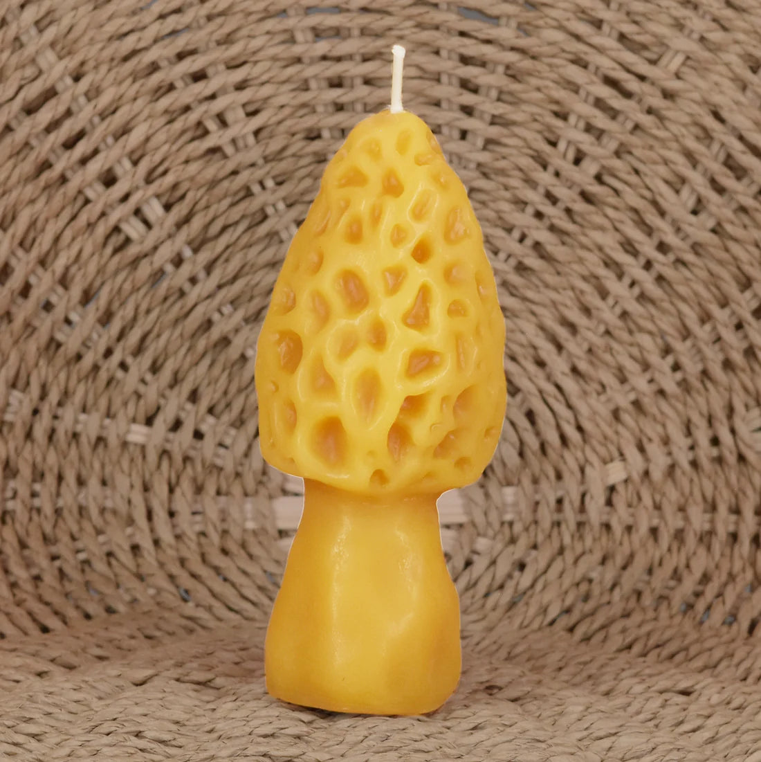 Honey Candles - Morel Candle