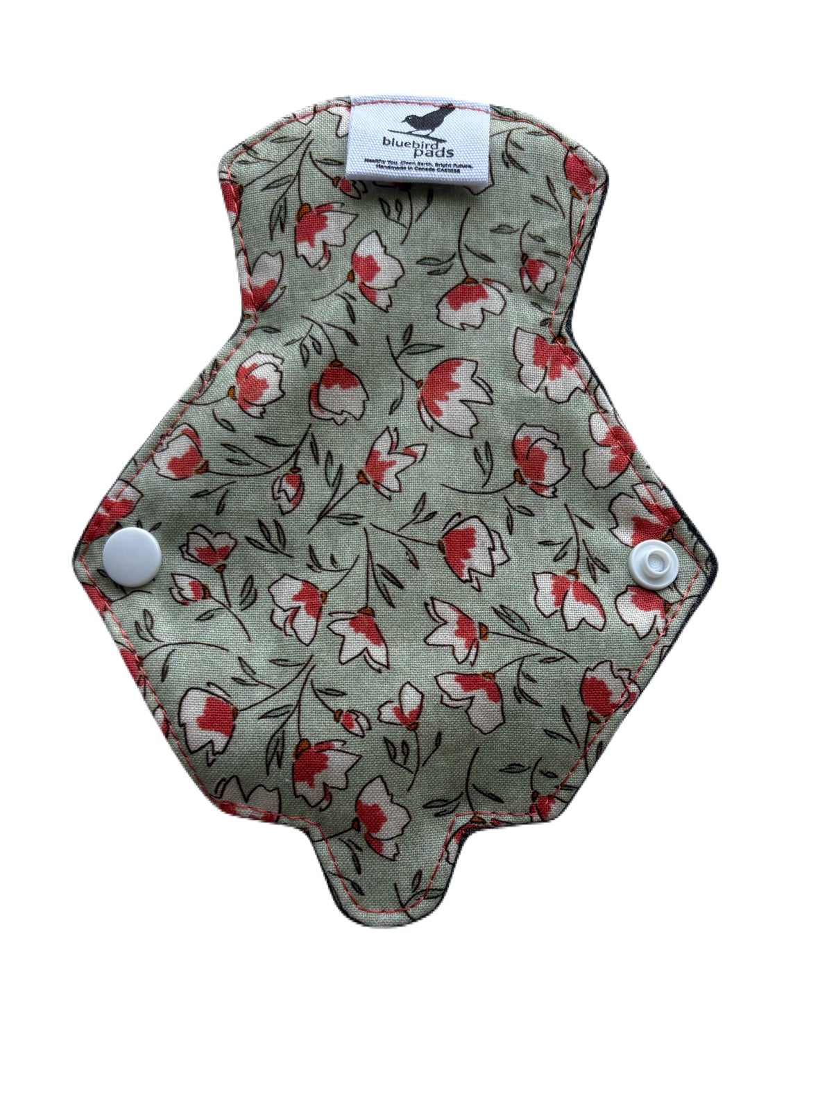 Bluebird Pads - Danae