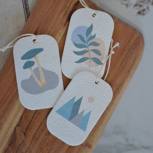 Pop Up Sponge Forest Collection