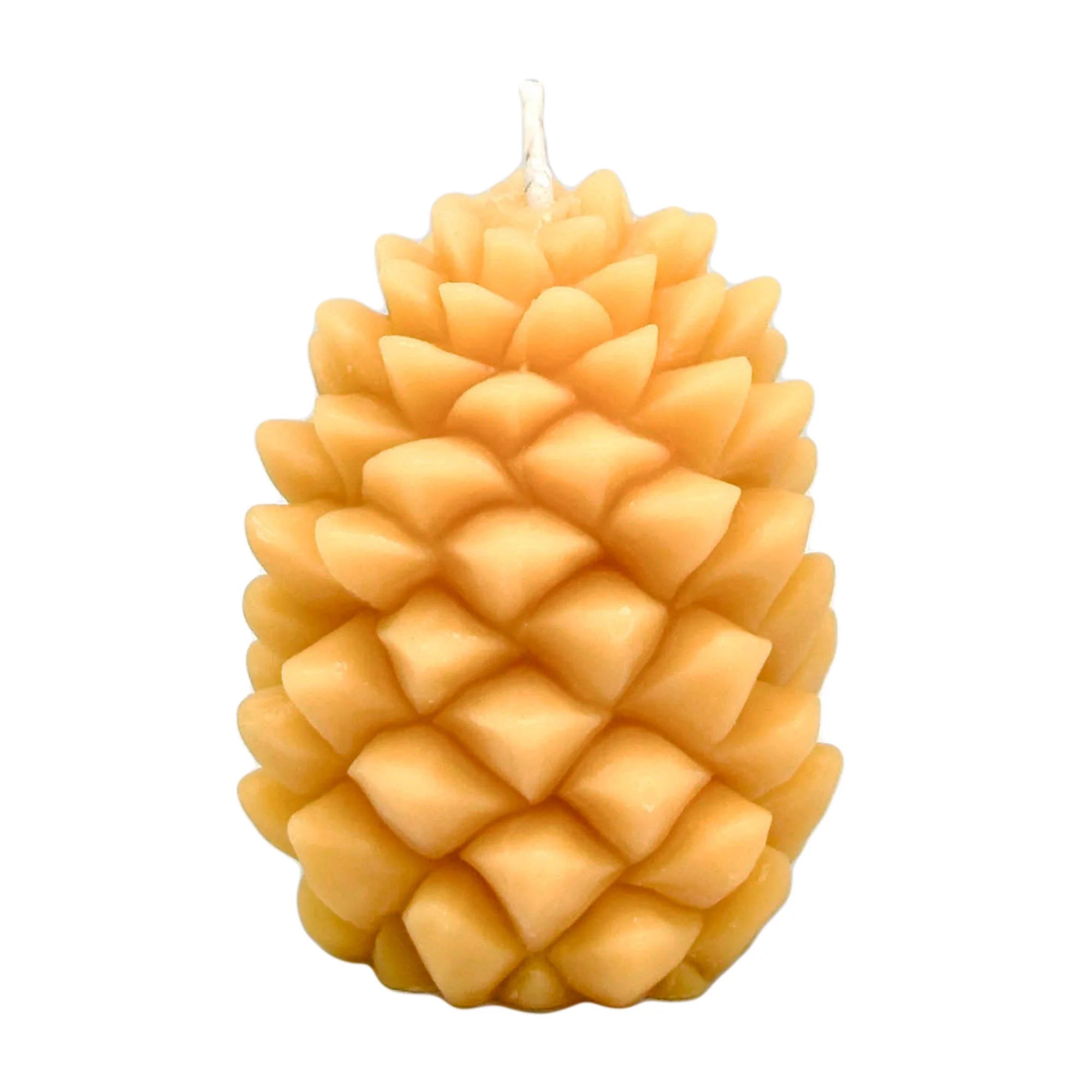 Honey Candles - Pine Cone Natural