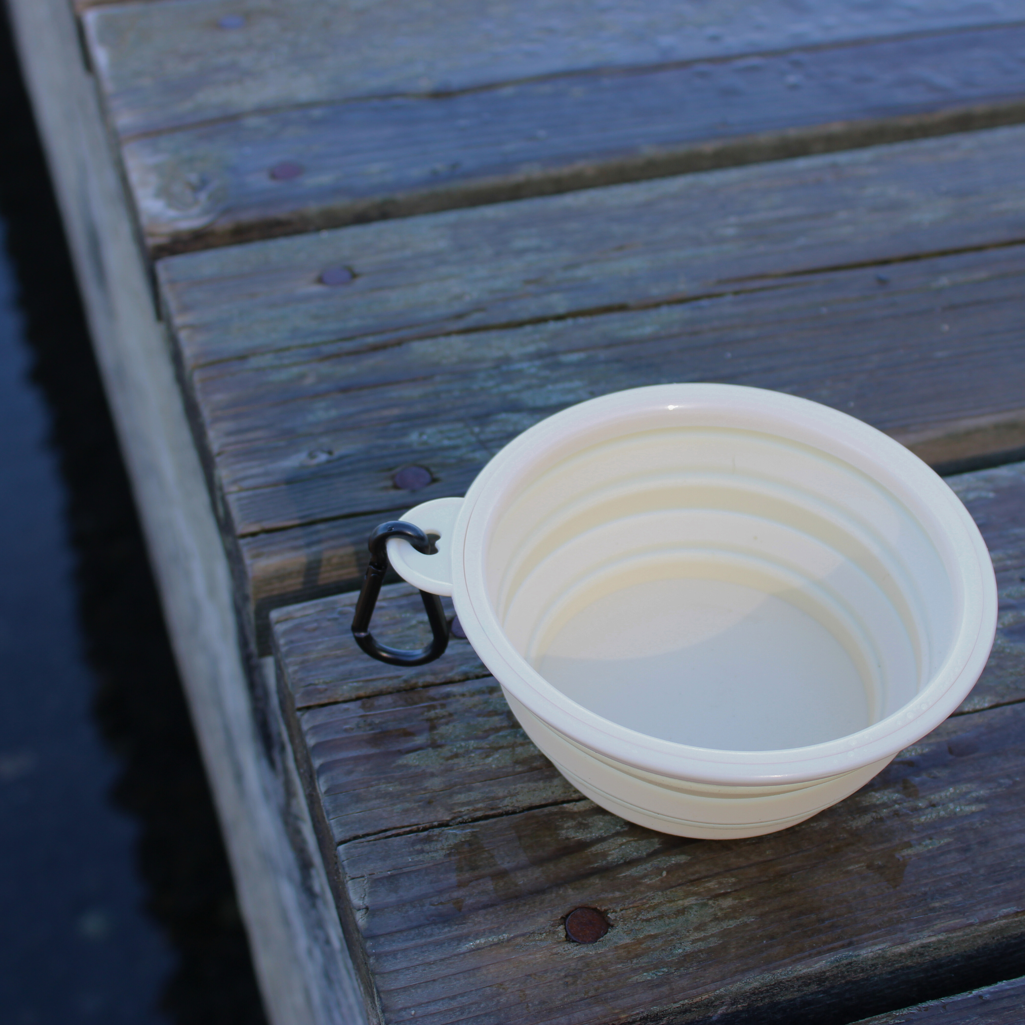 Collapsible Silicone Pet Bowl Small