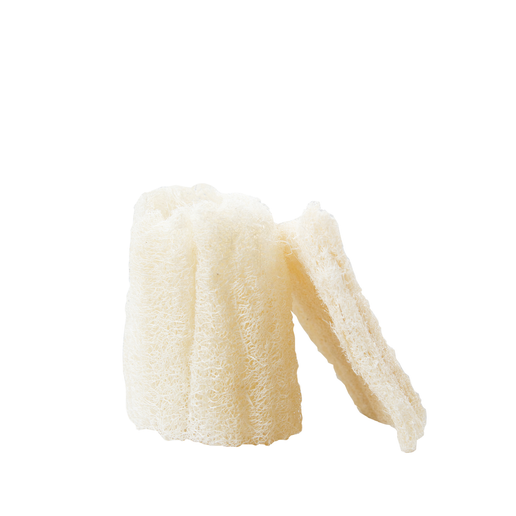 Loofah Sponge