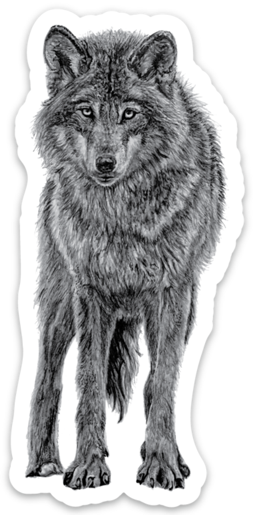 Pen On Paper - Wolf Magnet