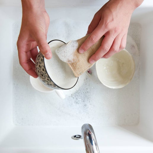 Scrubbing Sponge