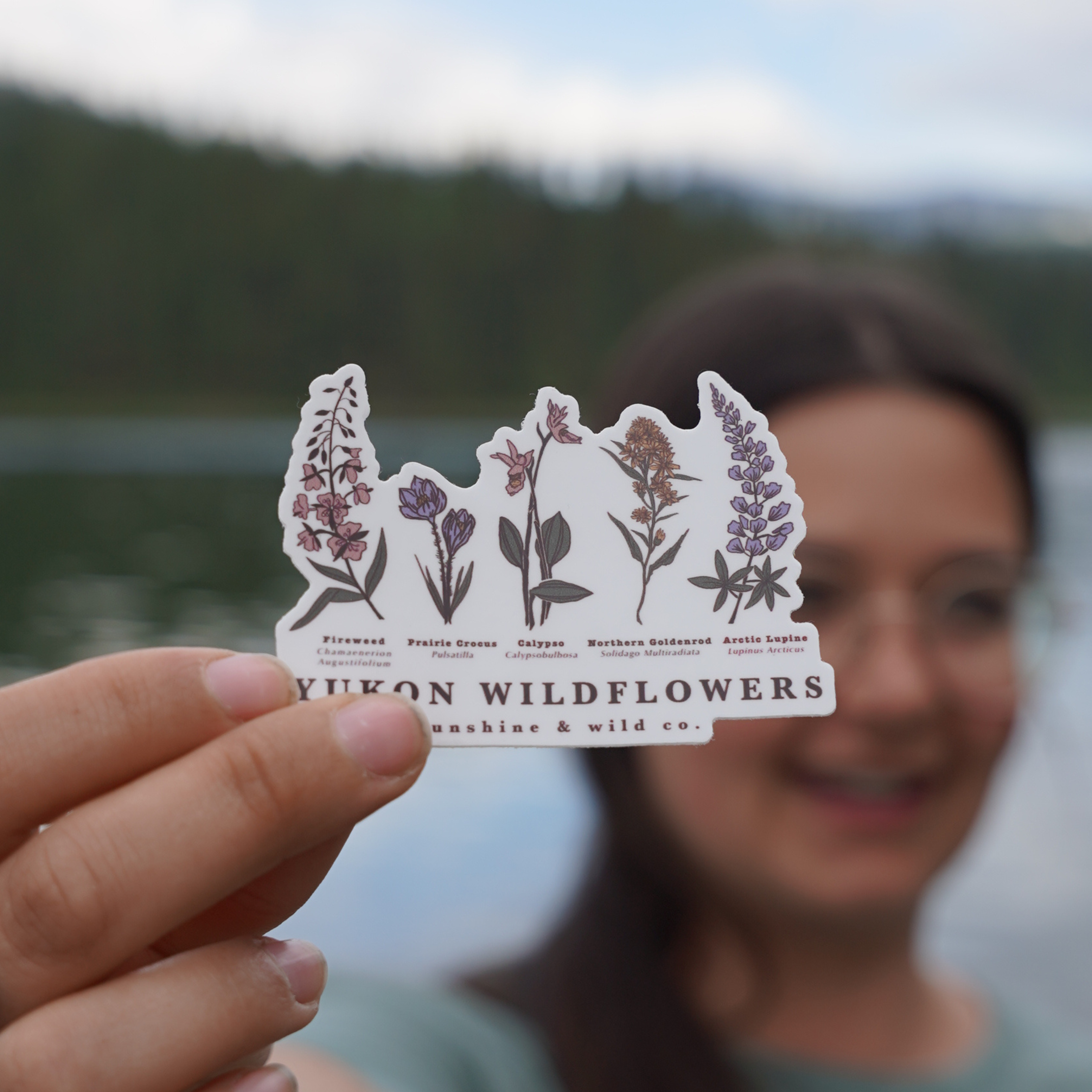Sunshine & Wild Sticker - Wildflowers