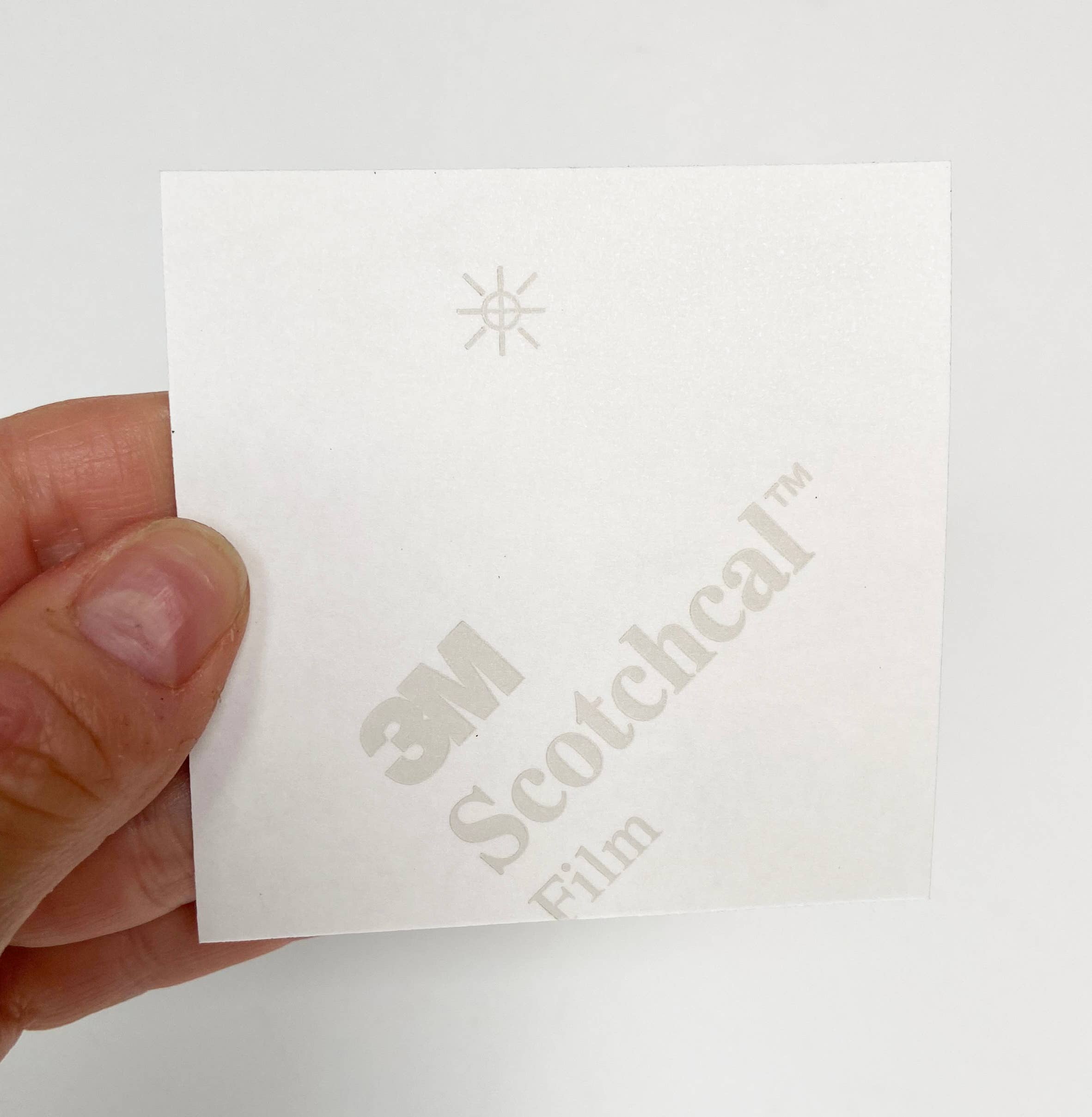 Succulents Vinyl Sticker