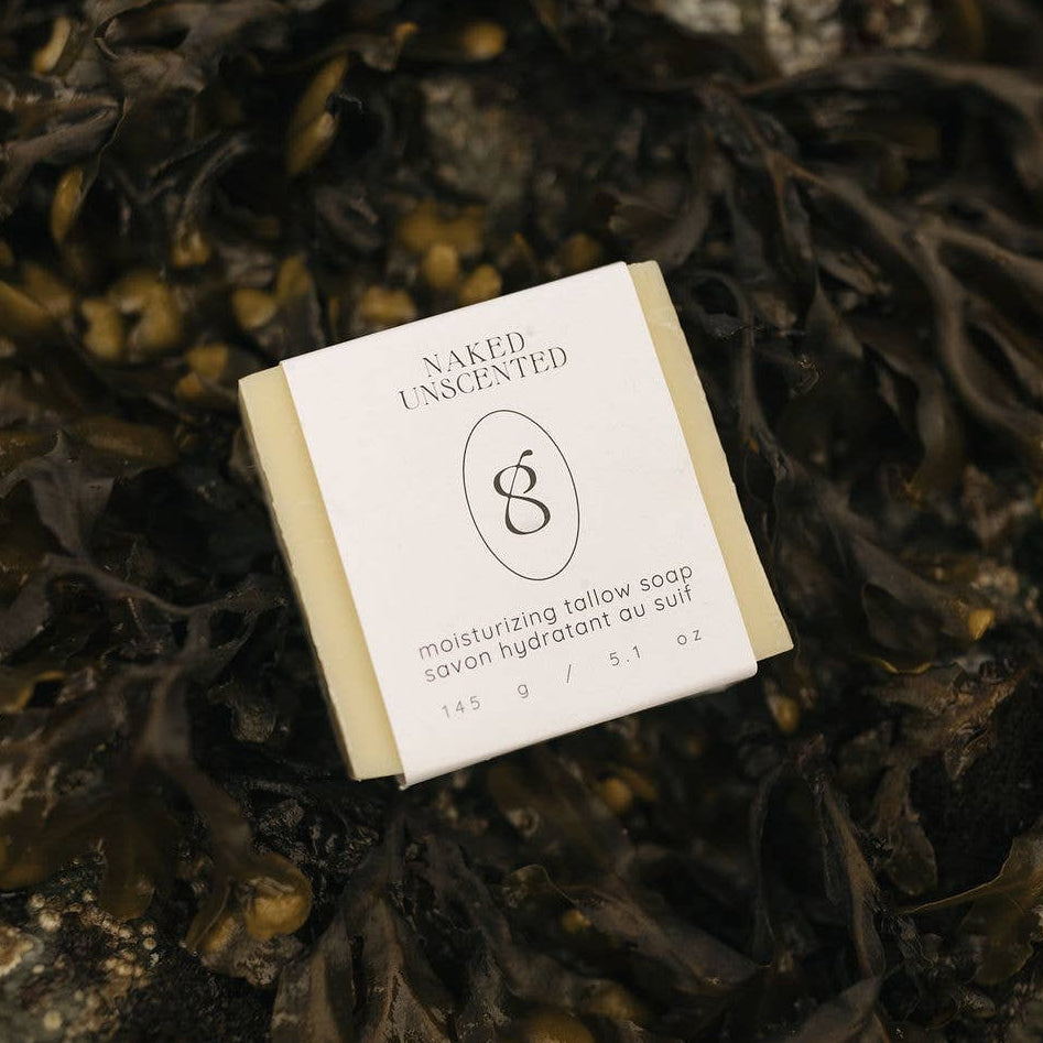 Bar of tallow soap with a paper wrap on a background of seaweed.