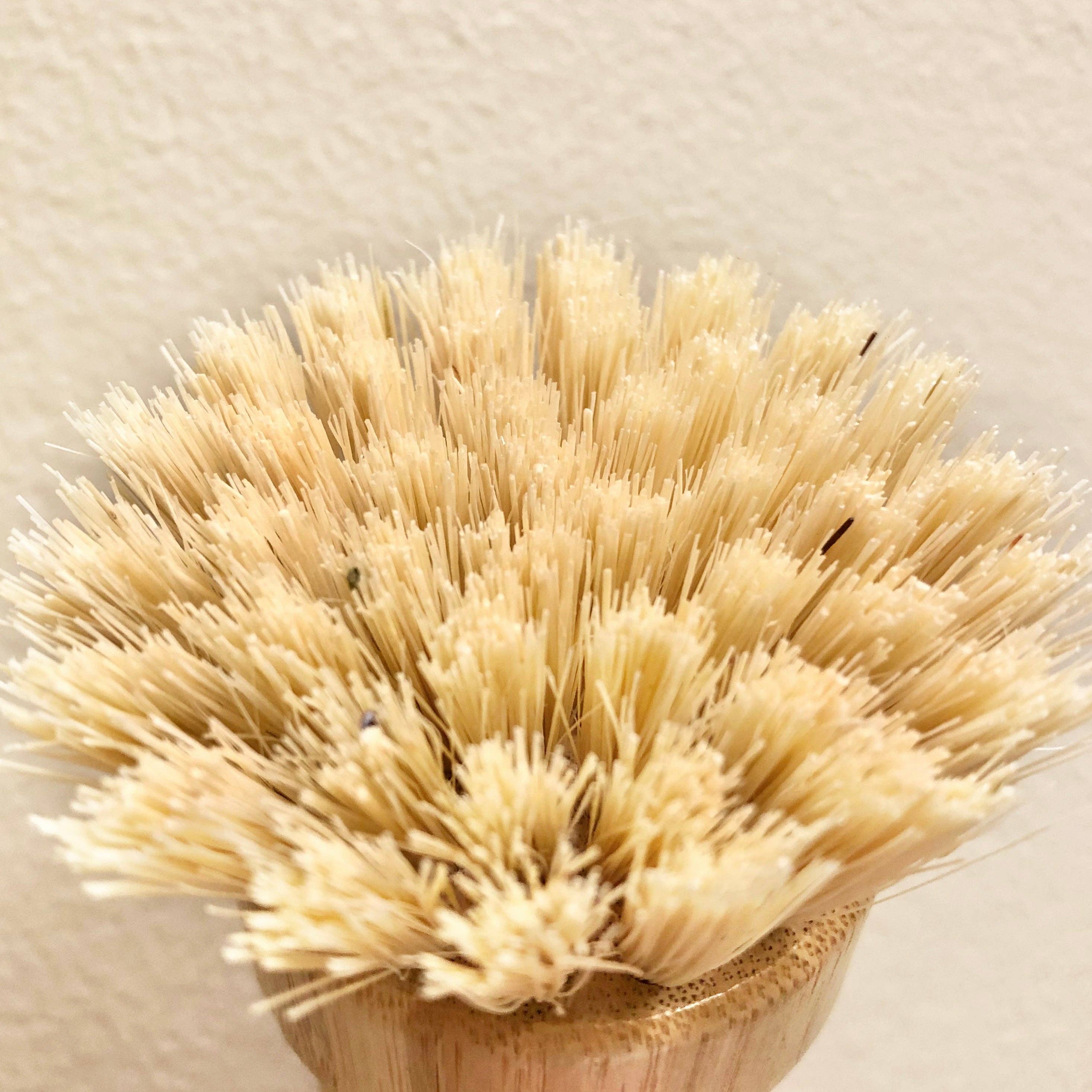 Palm Scrub Brush - Soft Bristles