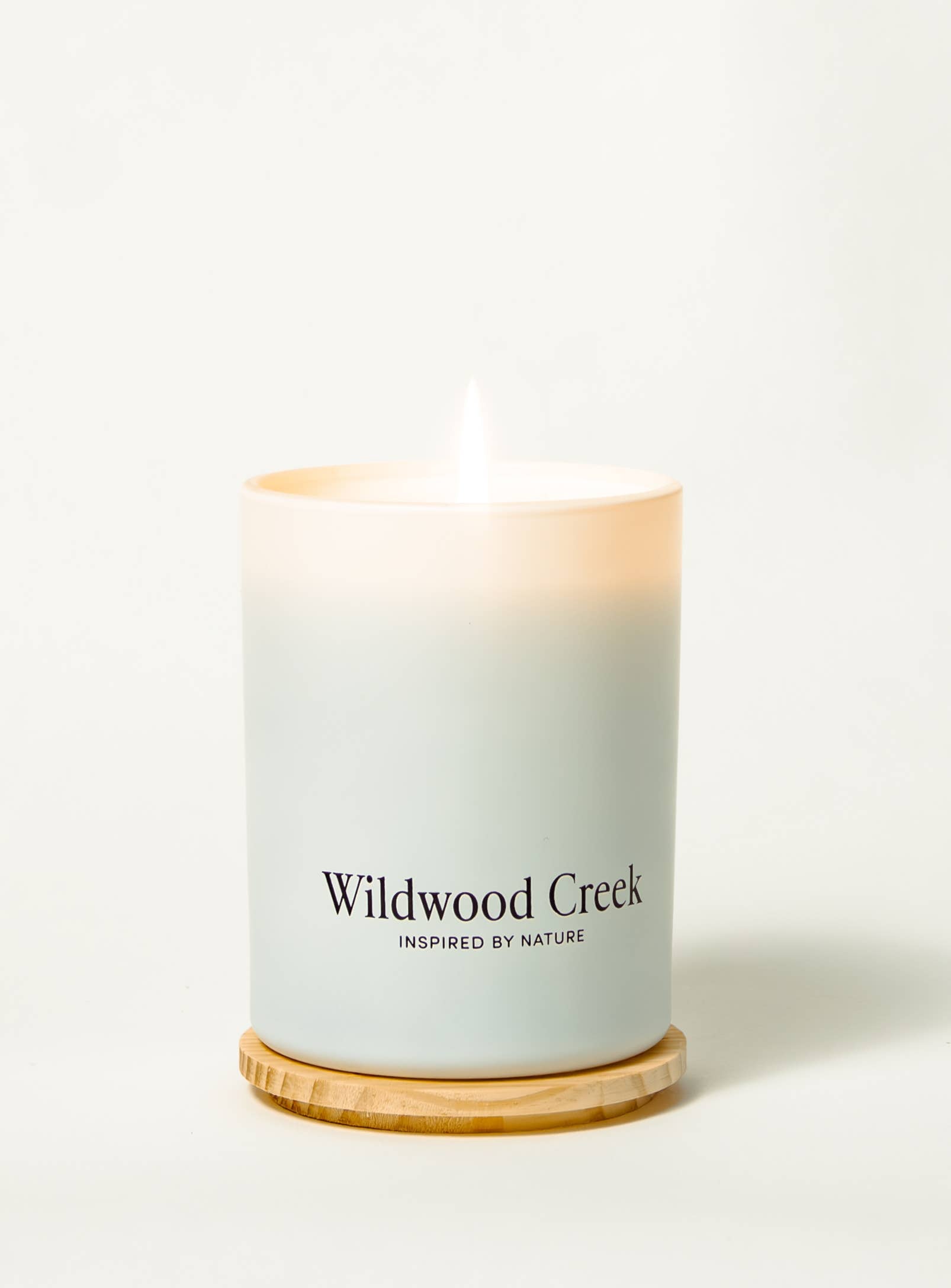 Elevated Botanical Candle True North | Limited Edition