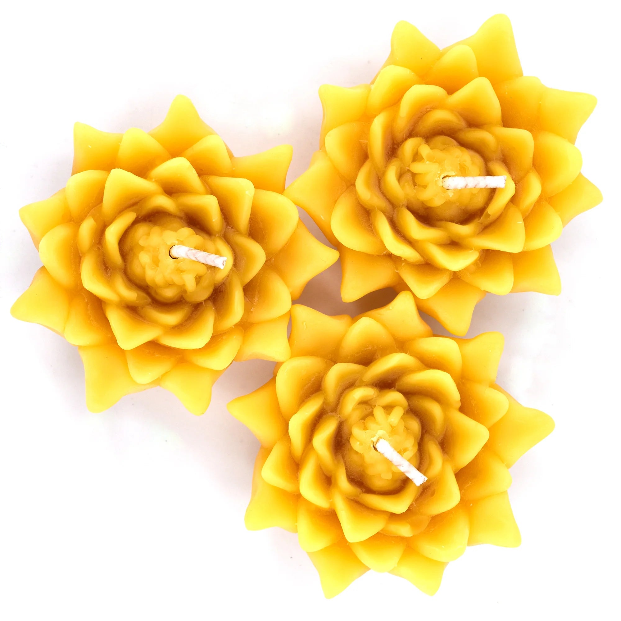 Honey Candles - Floating Lotus Set
