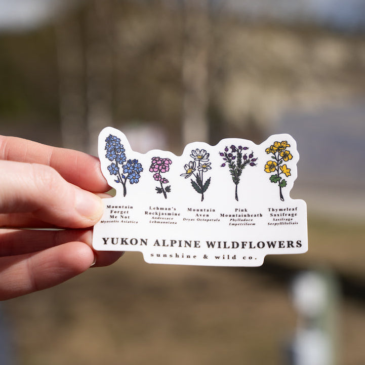 Yukon Alpine Wildflowers Sticker