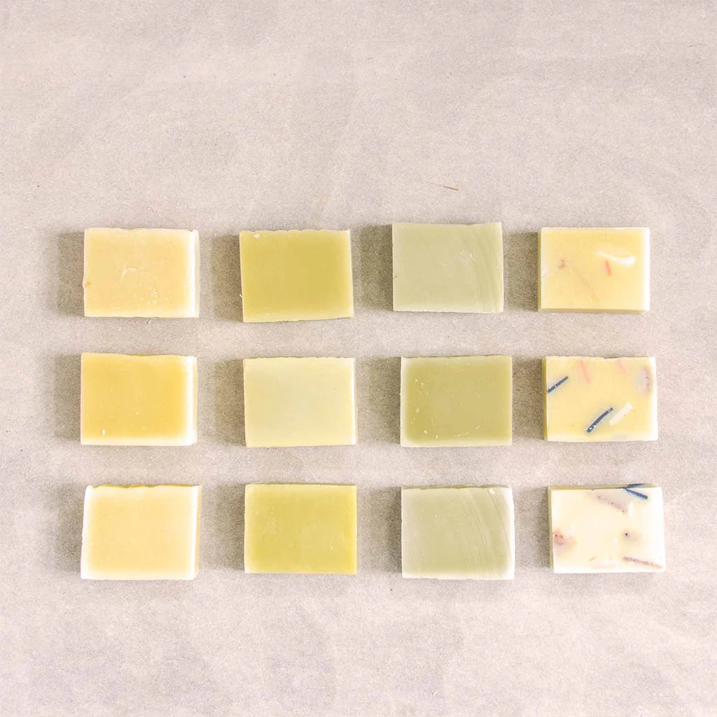 Wildwood Soap - Mini Bars