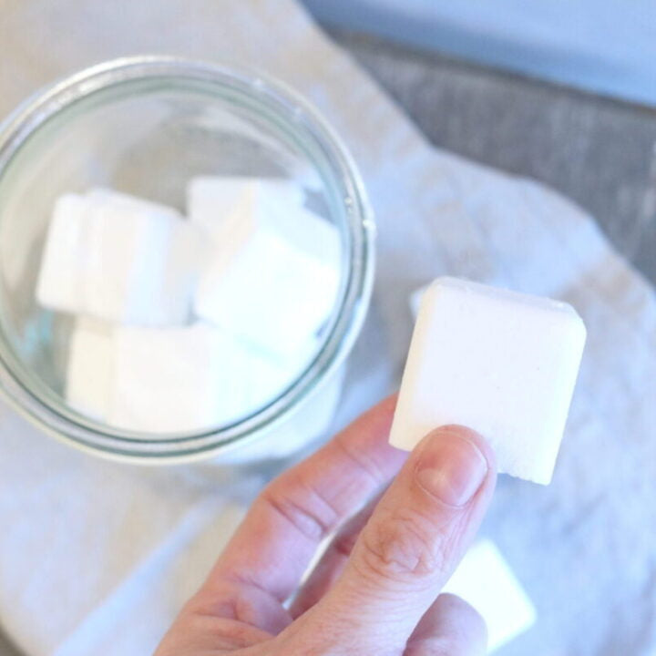 Earth Love Toilet Tabs
