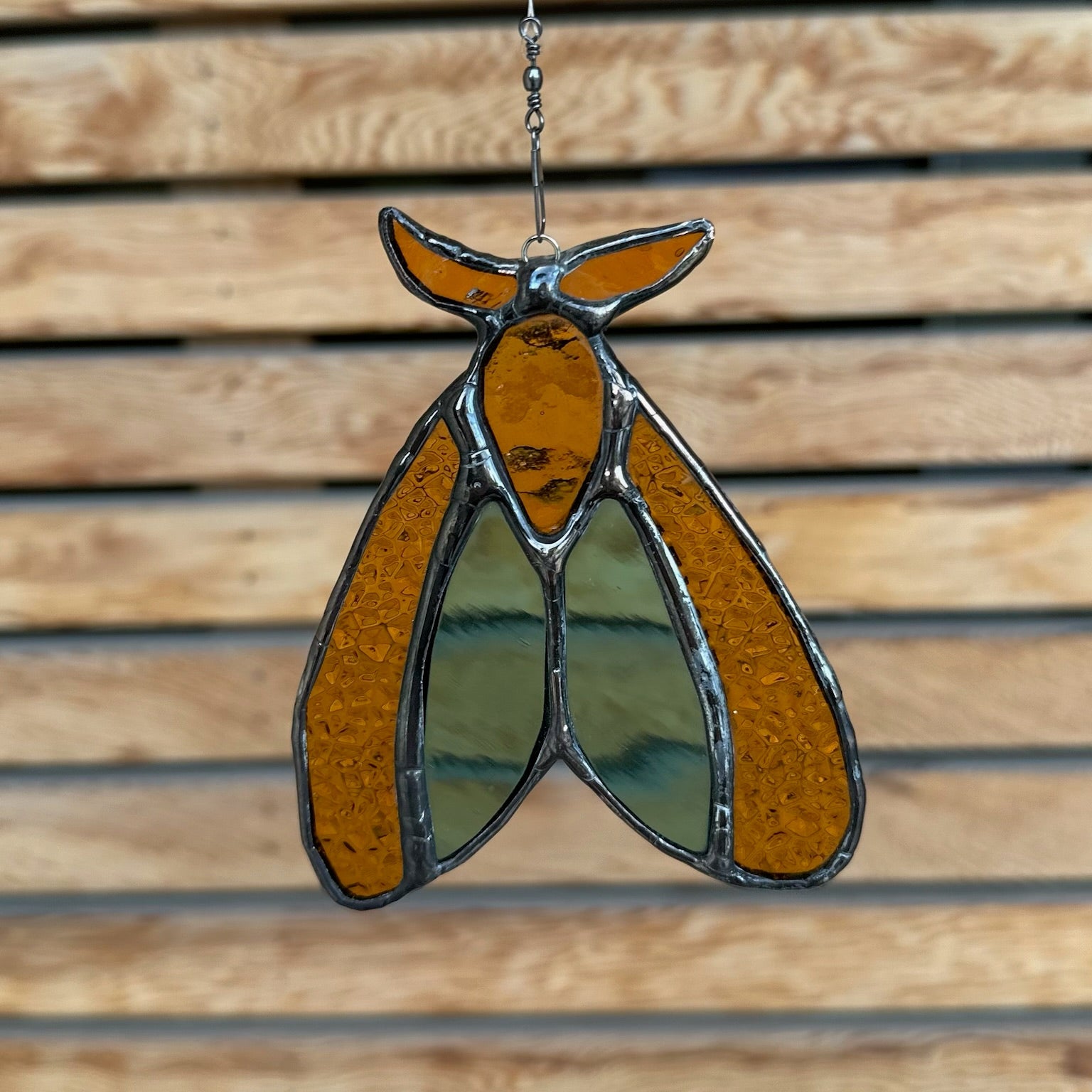 EPS Glass - Small Moth