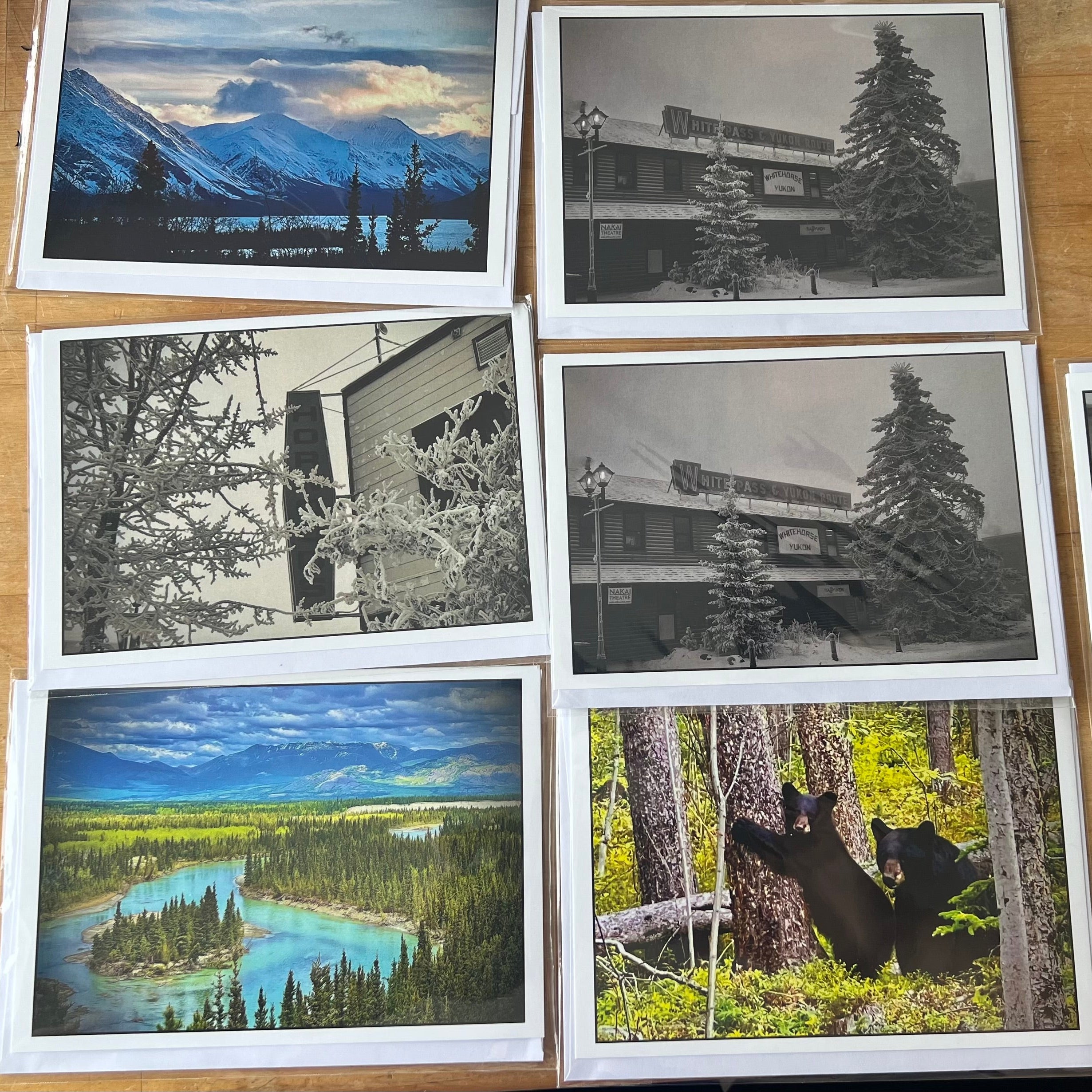 Raven Photo Greeting Card