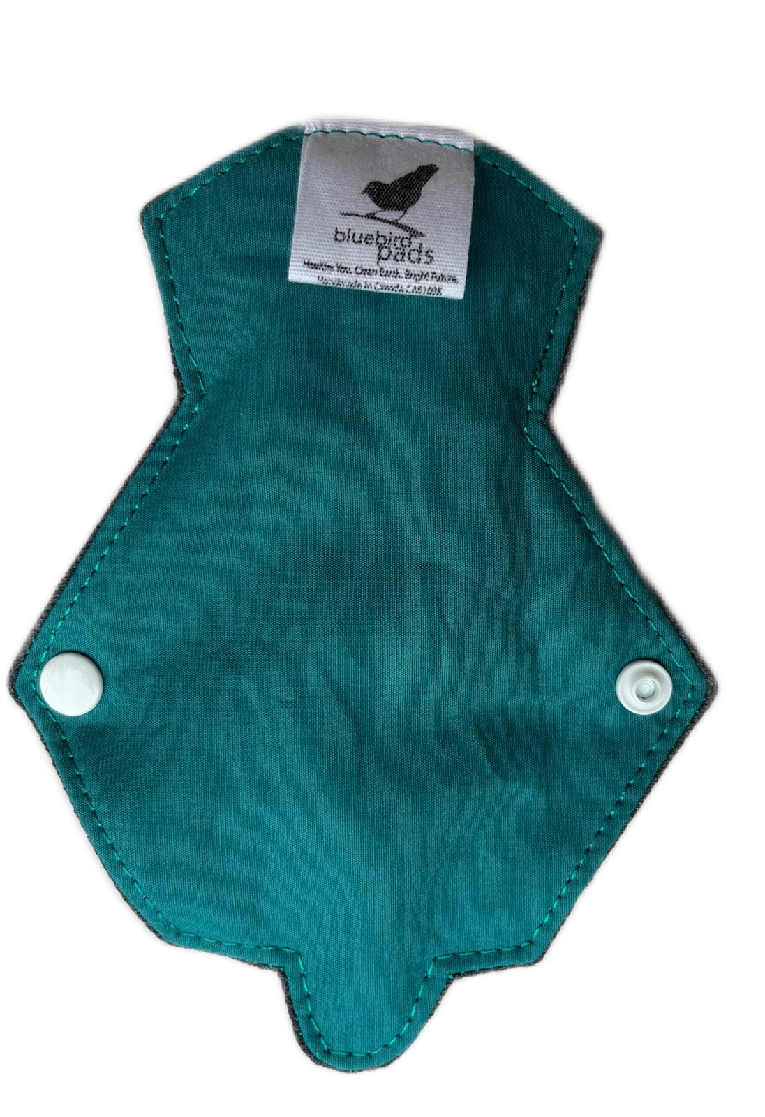 Bluebird Pads - Turqoise