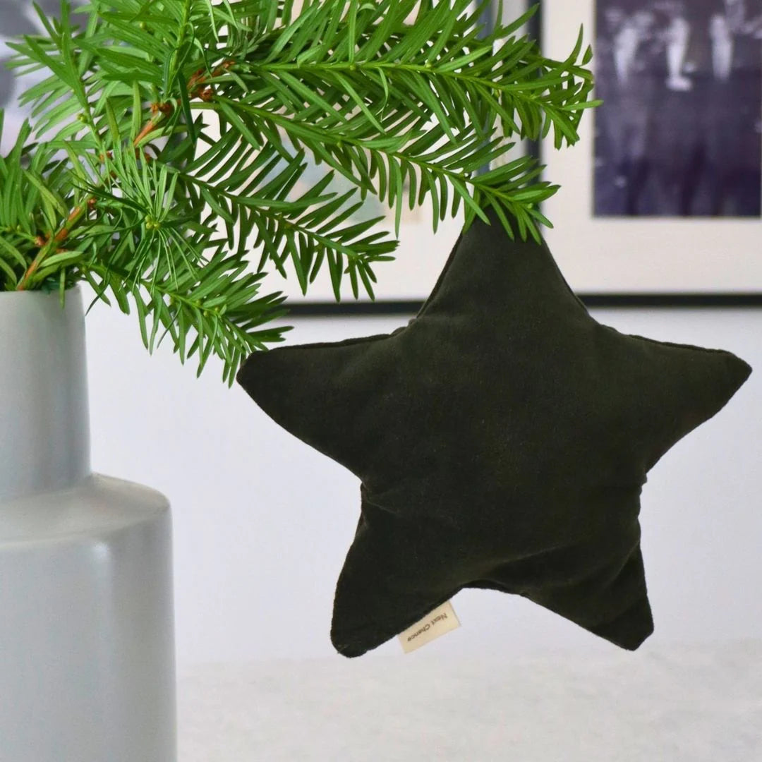 Next Chance Star Ornament Khaki Velvet