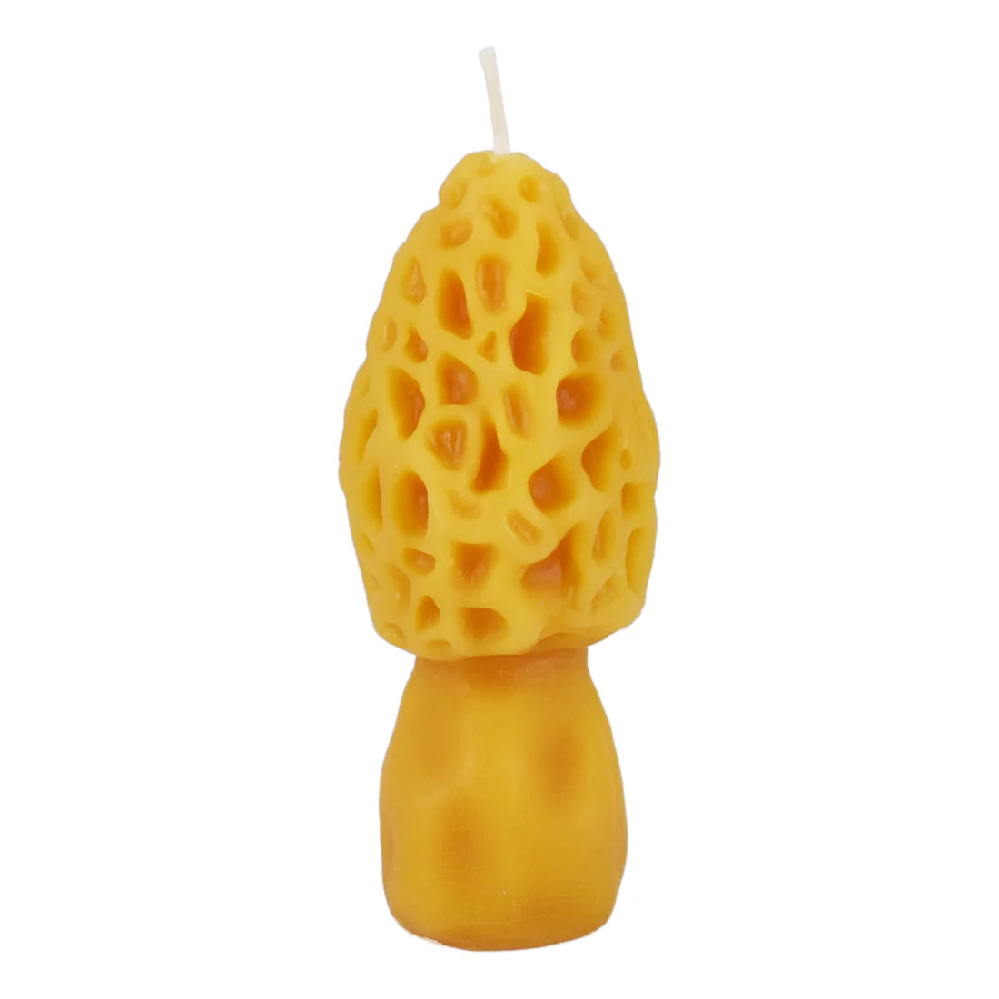 Honey Candles - Morel Candle