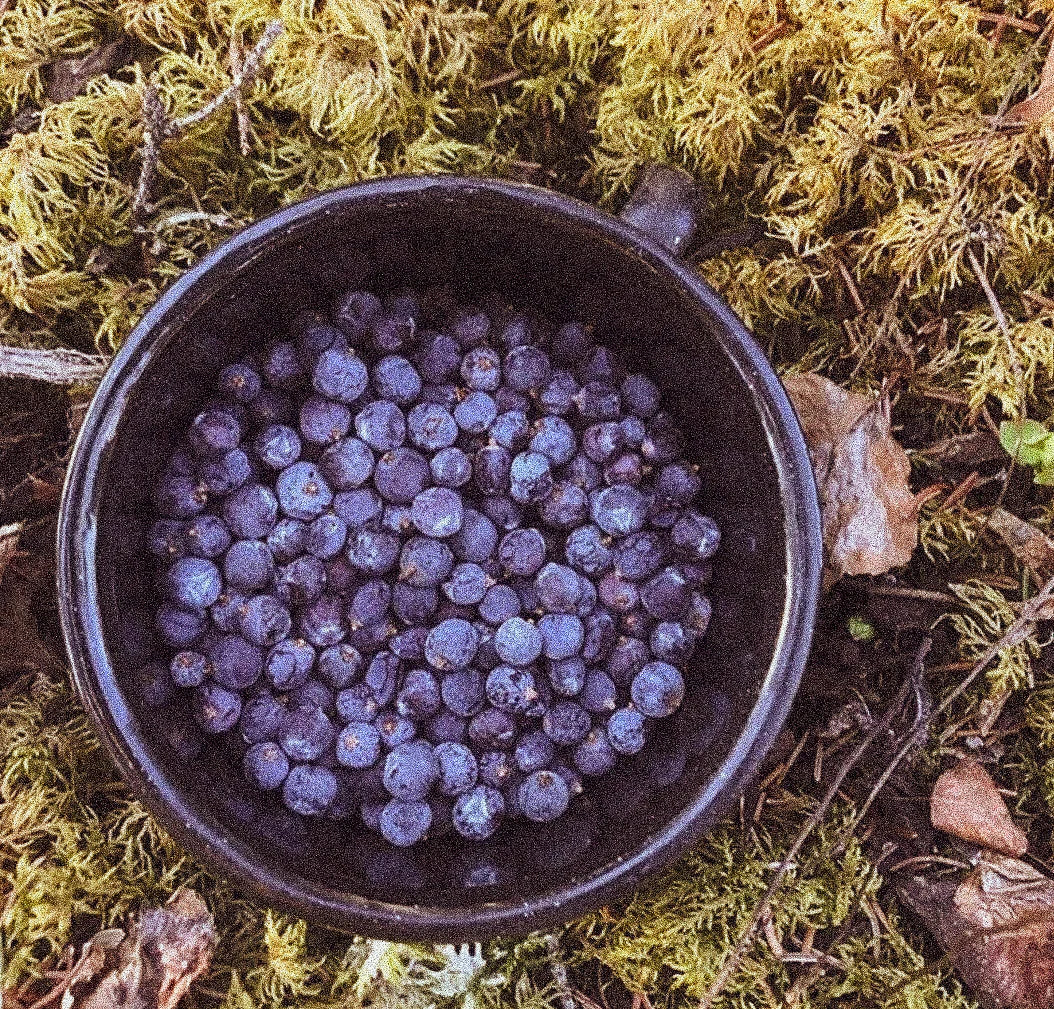 Yukon Soaps Co - Gin + Tonic