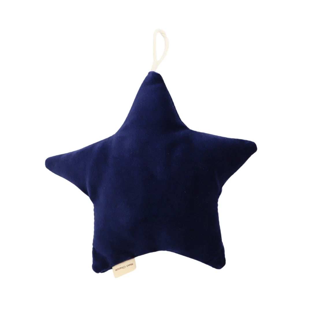 Next Chance Star Ornament Blue Velvet