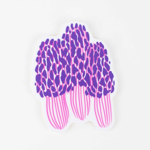 Morel Mushroom Sticker
