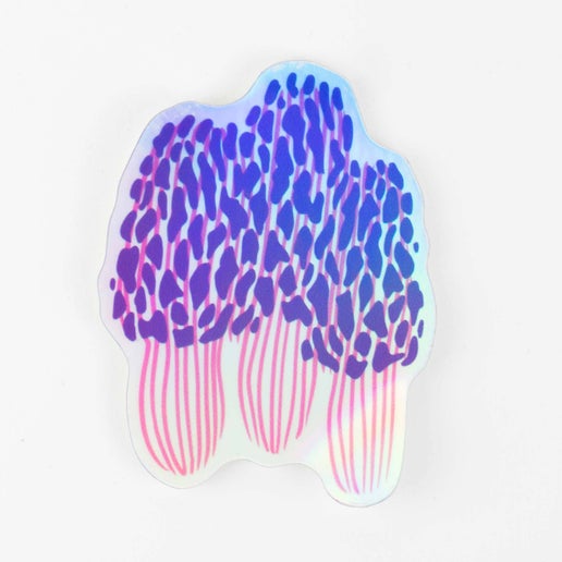 Morel Mushroom Sticker