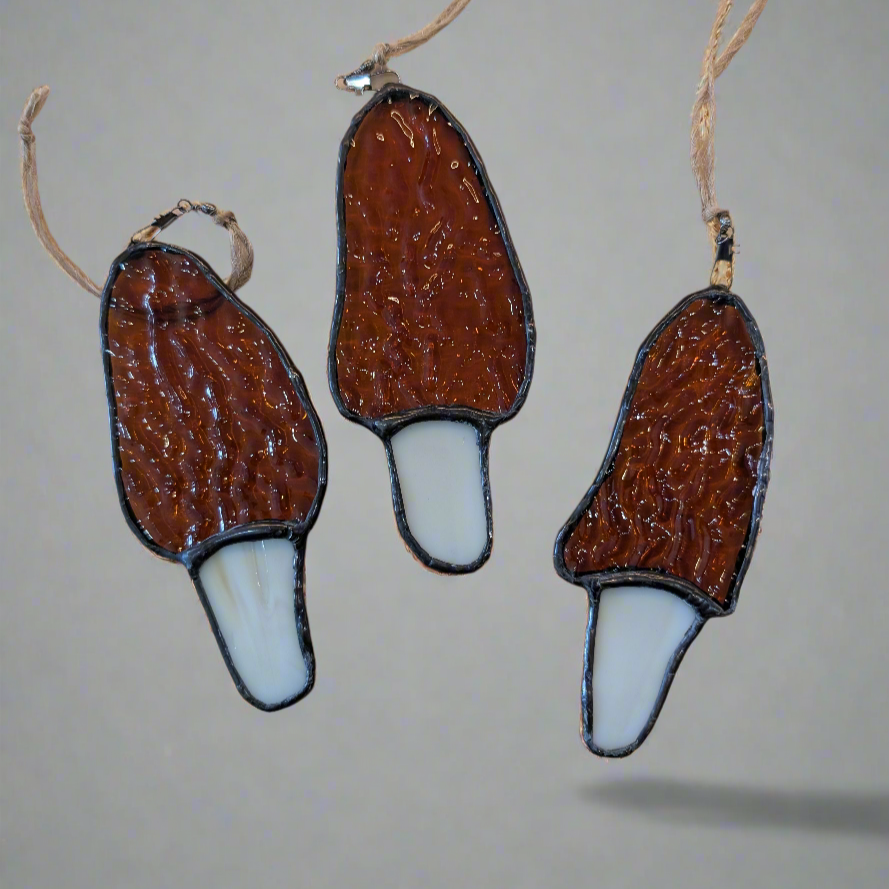 EPS Glass - Morel Mushroom