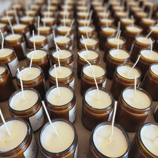 Coconut Soy Candle Mini - True North