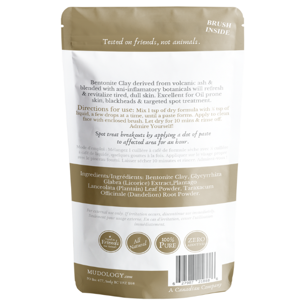 Aztec Healing Clay Mask