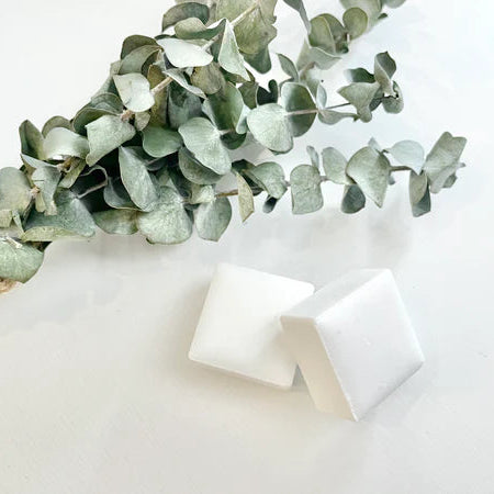 Shower Steamer Melts Eucalyptus