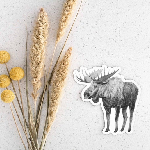 Pen On Paper - Moose Magnet