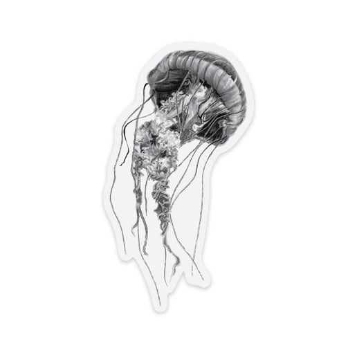Pen On Paper - Jellyfish Sticker