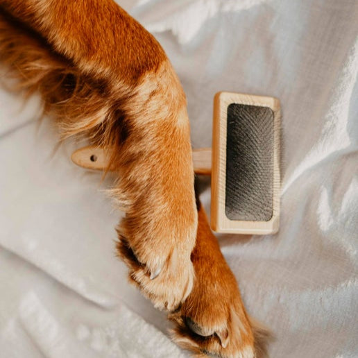 Pet Hair Brush