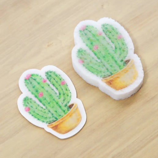 Pop Up Sponge - Cactus