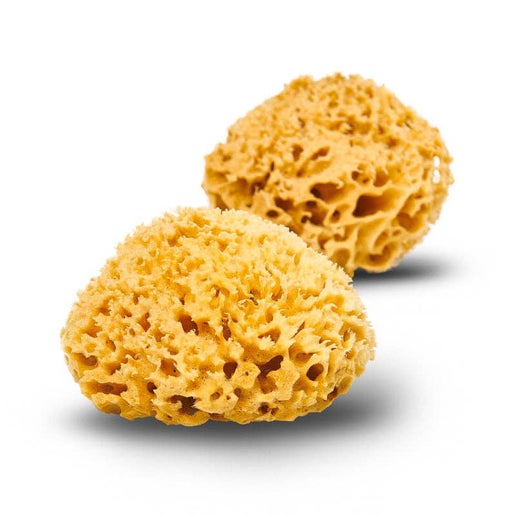 Natural Sea Sponge - Organic Honeycomb
