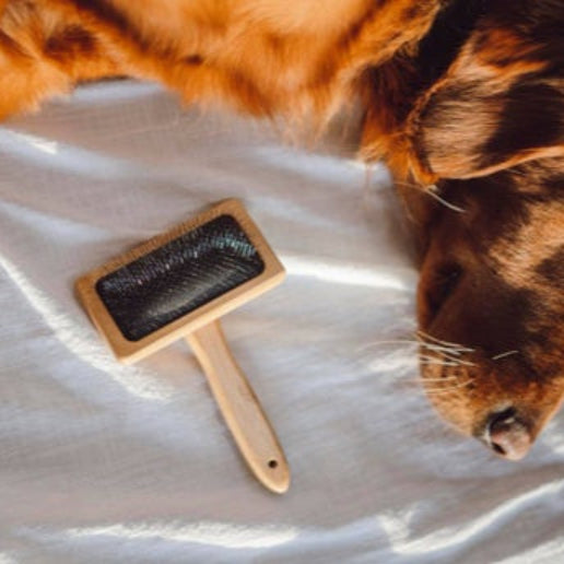Pet Hair Brush