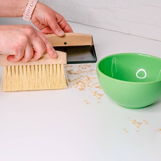 Mini Dustpan & Broom Set