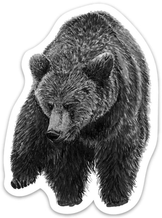Pen On Paper - Bear Magnet